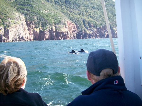 Capt Mark's Whale Watching Tour --- Pleasant Bay, Nova Scotia.

(Sorry I couldn't get any better pictures of the whales, but you try holding a camera steady on a rocky boat. :p )