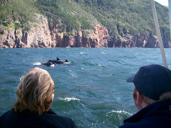 Capt Mark's Whale Watching Tour (2) --- Pleasant Bay, Nova Scotia.

(Sorry I couldn't get any better pictures of the whales, but you try holding a camera steady on a rocky boat. :p )