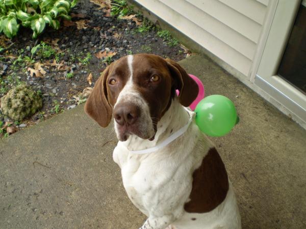 Jack ready for a party!